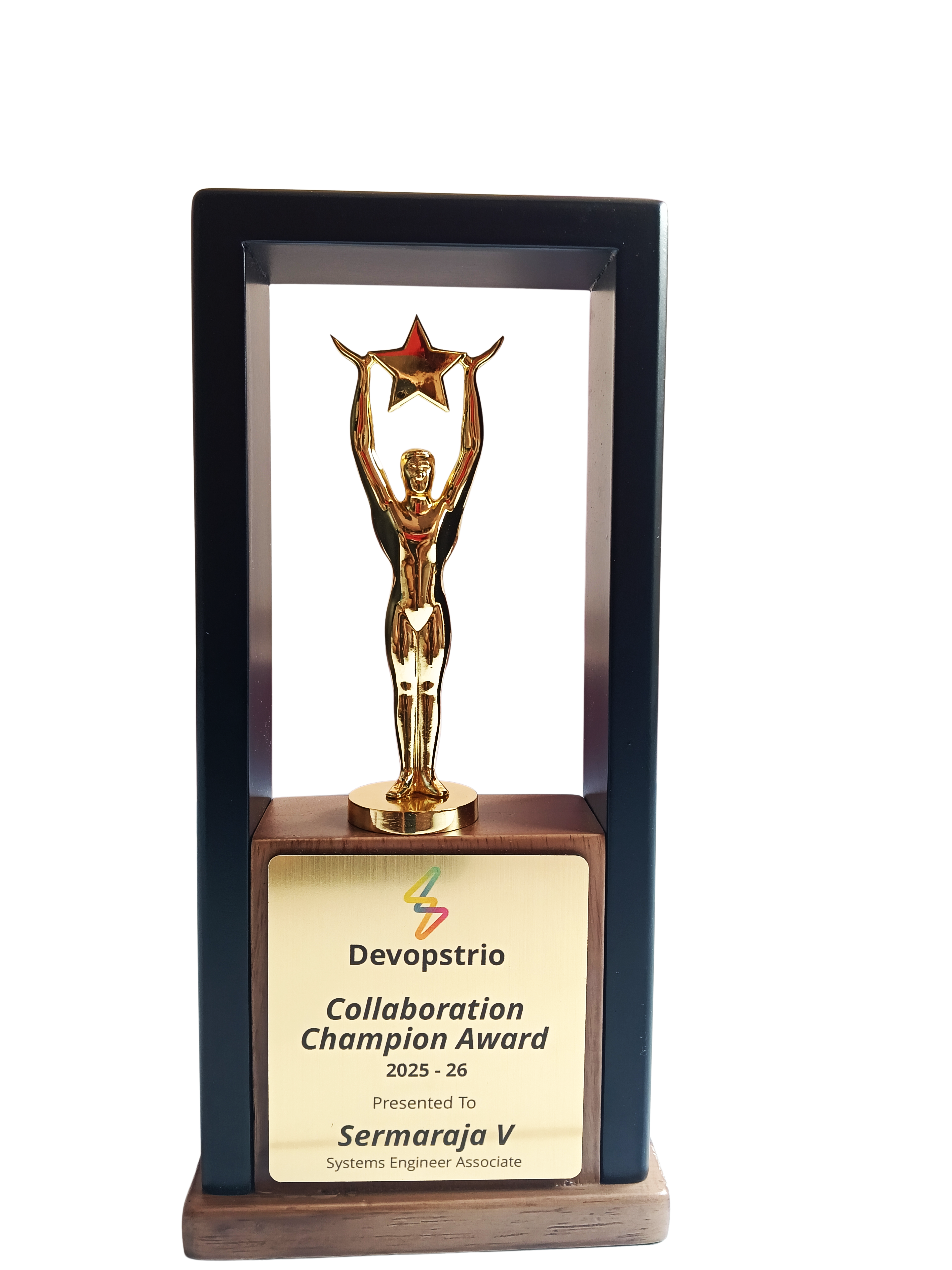 Devopstrio Collaboration Champion Award 2025-26